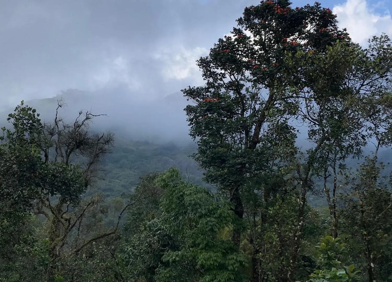 Dom wakacyjny Willa Hidden Escape Munnar Viripara Indie